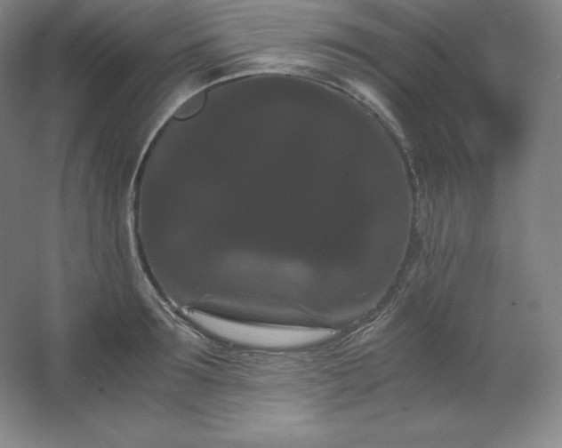 X0000062630899200512281552