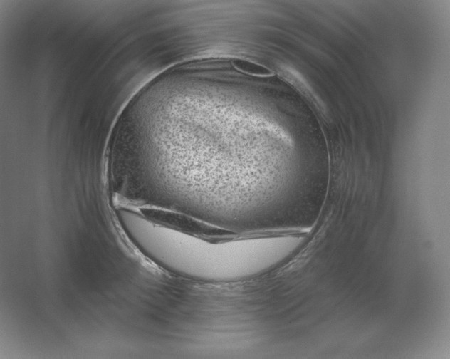 X0000062630900200512281552