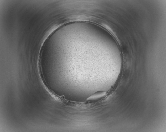 X0000062630901200512281552