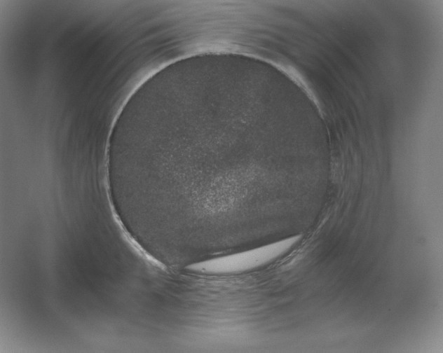 X0000062630903200512281552