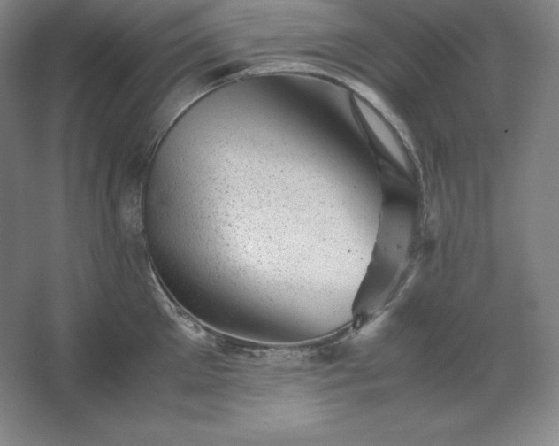 X0000062630905200512281552