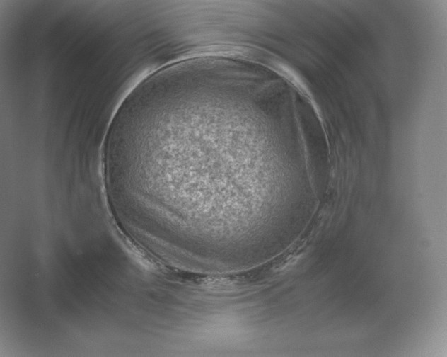 X0000062630907200512281552