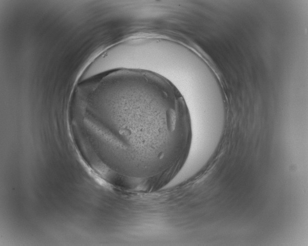 X0000062630909200512281552