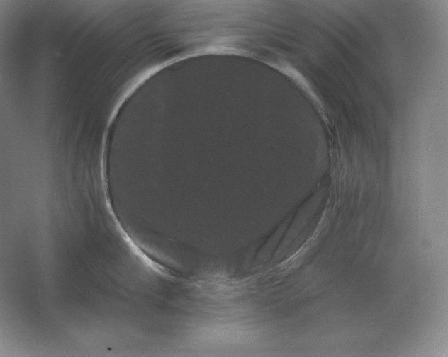 X0000062630910200512281552