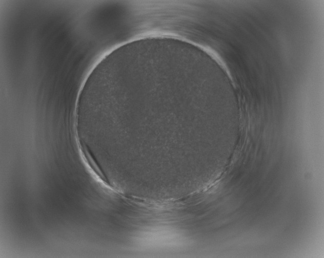 X0000062630911200512281552