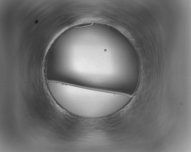 X0000062630912200512281552