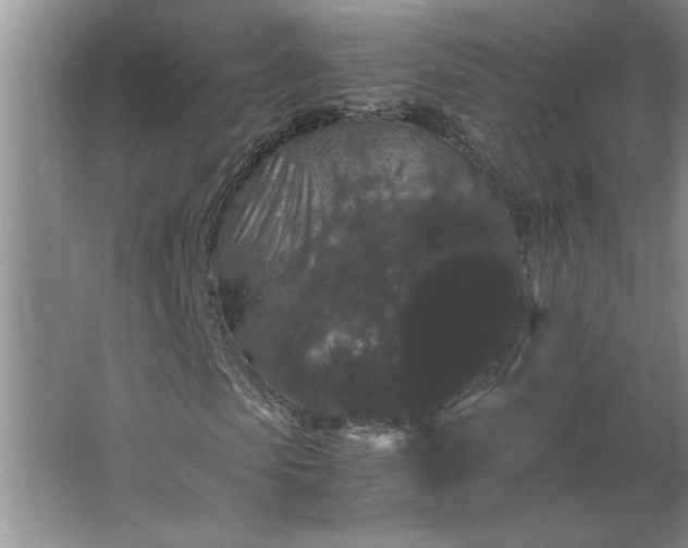 X0000062630913200512281551