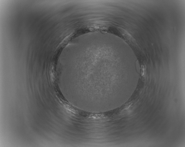 X0000062630915200512281551