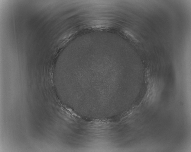 X0000062630917200512281551