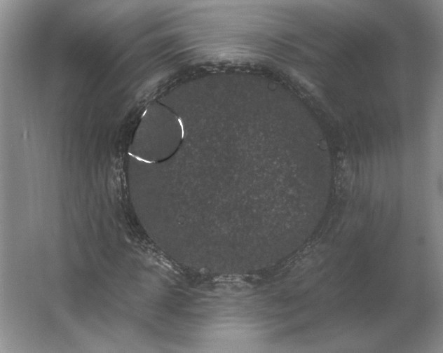 X0000062630918200512281551