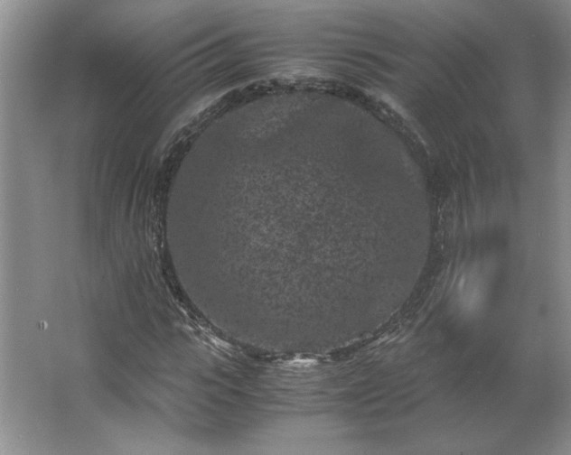 X0000062630919200512281551