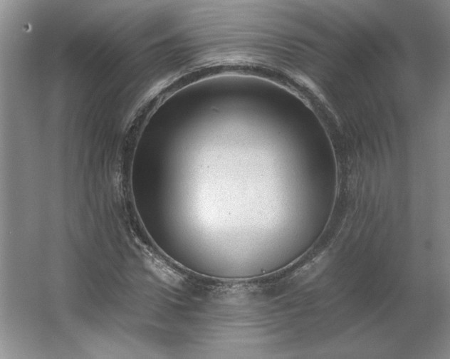 X0000062630922200512281551