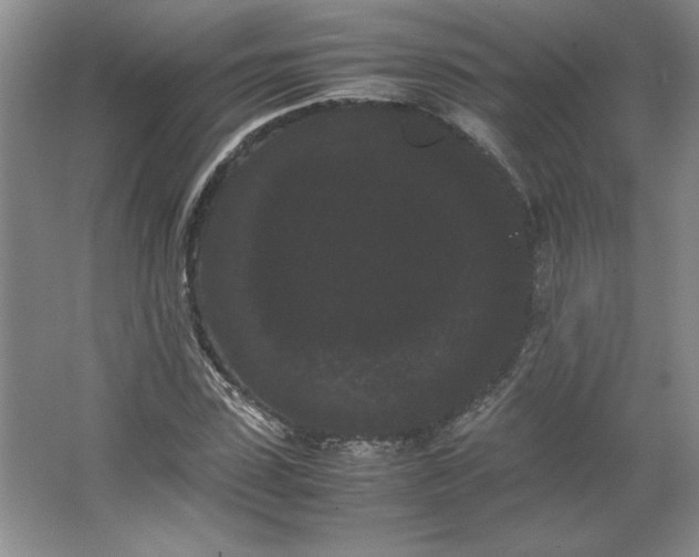 X0000062630923200512281551