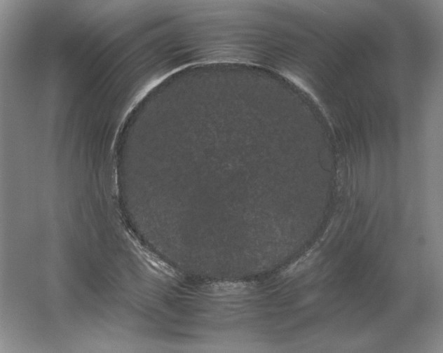 X0000062630925200512281551