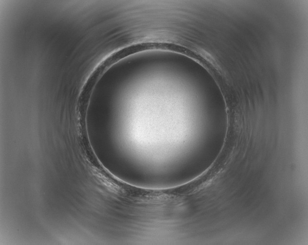 X0000062630926200512281551