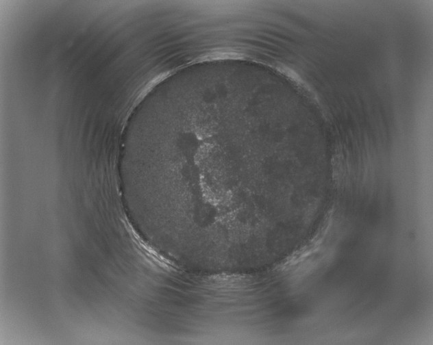 X0000062630929200512281551