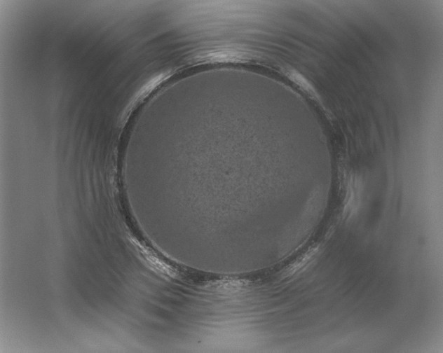 X0000062630930200512281551