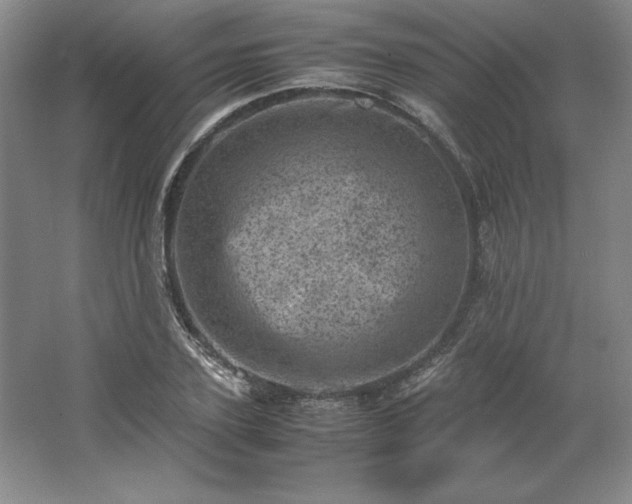 X0000062630931200512281551