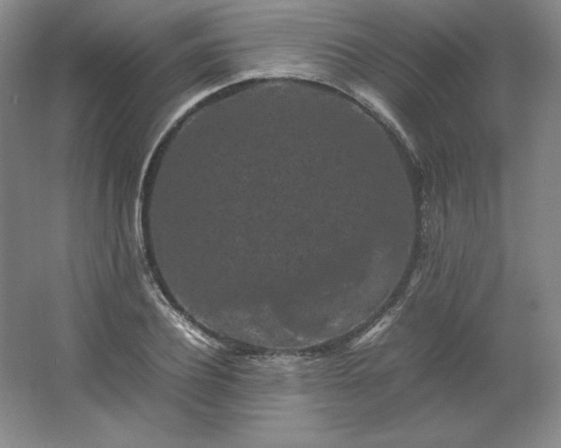 X0000062630932200512281551