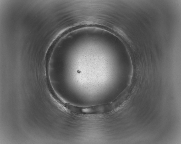 X0000062630934200512281551