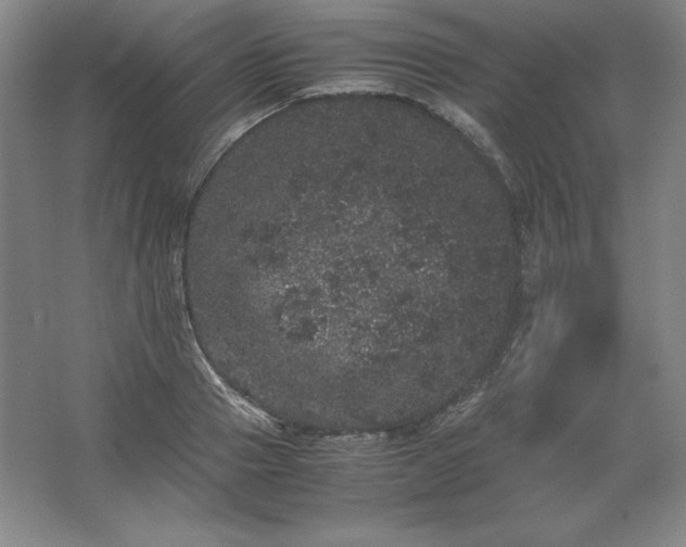 X0000062630937200512281551