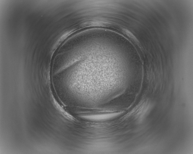 X0000062630938200512281551