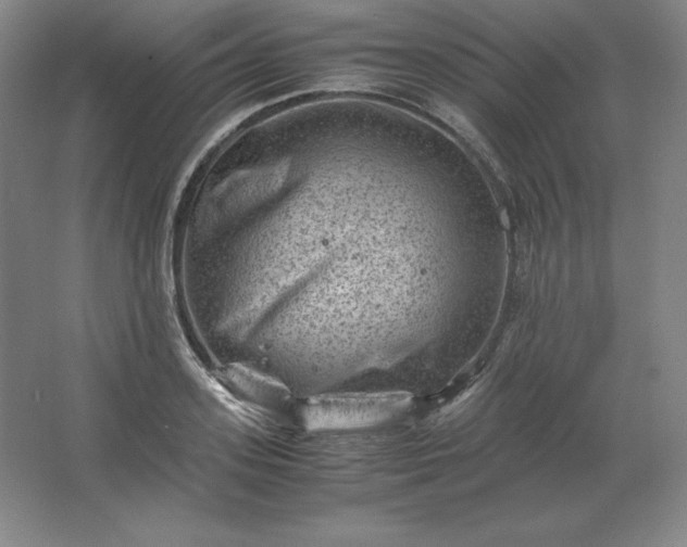 X0000062630939200512281552