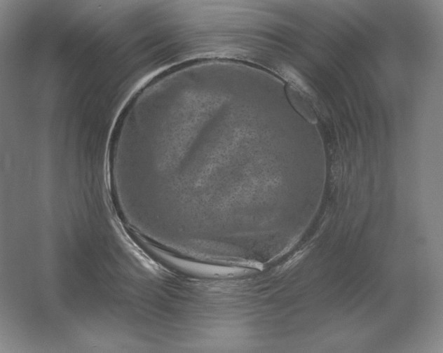 X0000062630940200512281552