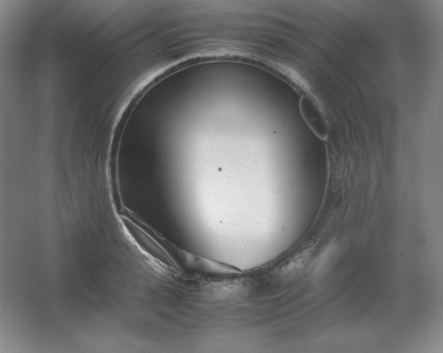 X0000062630943200512281552