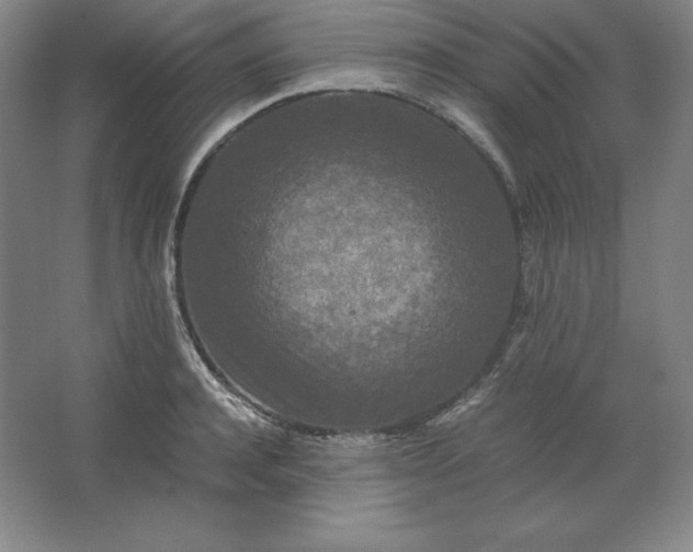 X0000062630944200512281552