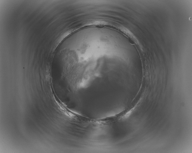 X0000062630945200512281552