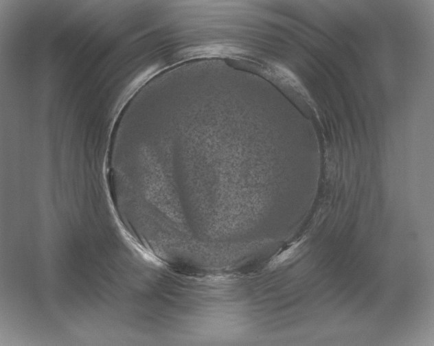 X0000062630946200512281552