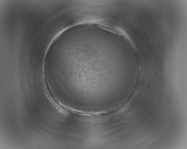 X0000062630948200512281552