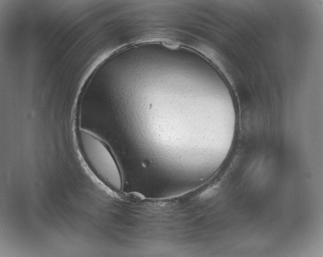 X0000062630949200512281552