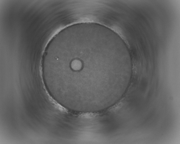 X0000062630950200512281552