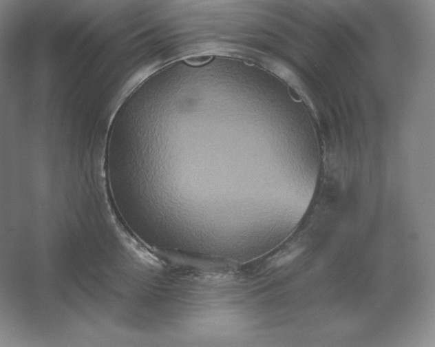 X0000062630954200512281552