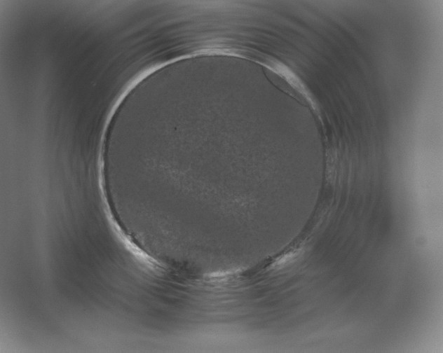 X0000062630955200512281552