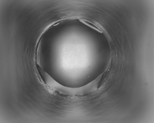 X0000062630956200512281552