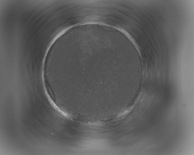 X0000062630957200512281552