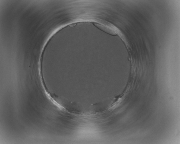 X0000062630958200512281552