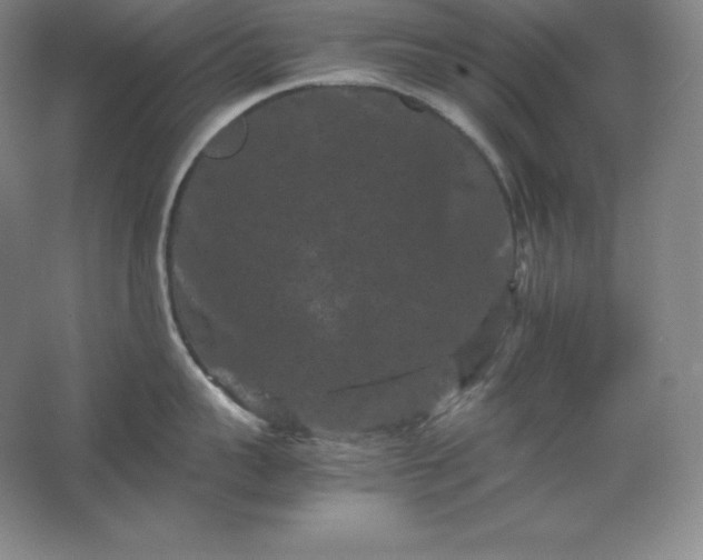 X0000062630959200512281552