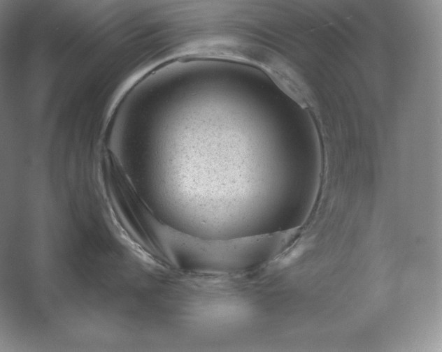 X0000062630960200512281552