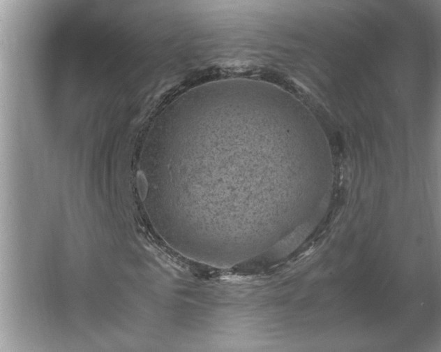 X0000062630961200512281551