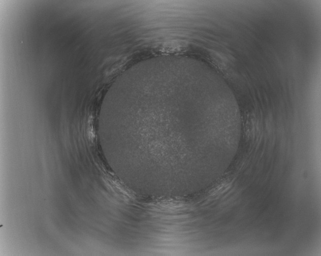 X0000062630962200512281551