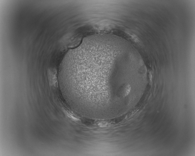 X0000062630963200512281551