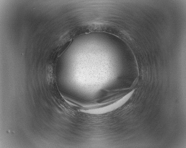 X0000062630964200512281551