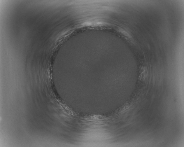 X0000062630966200512281551