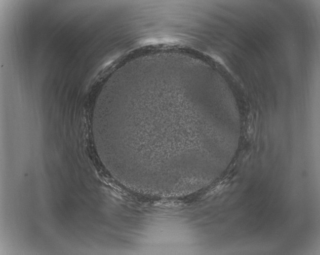 X0000062630967200512281551