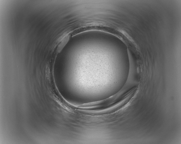 X0000062630969200512281551