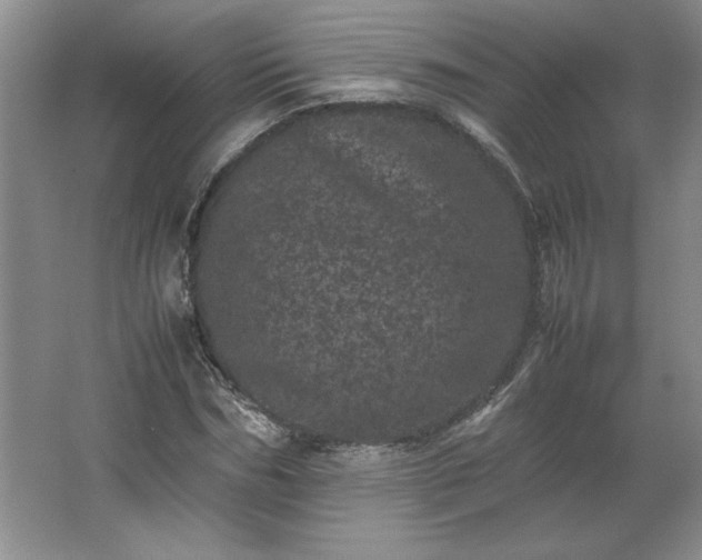 X0000062630970200512281551